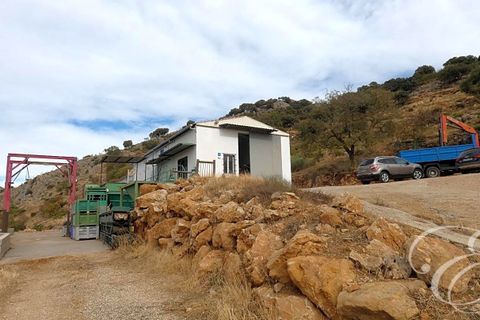 Herregård i Alfarnatejo, Malaga, Alfarnatejo - € 574 900 | Ref: XL3932 - foto 16