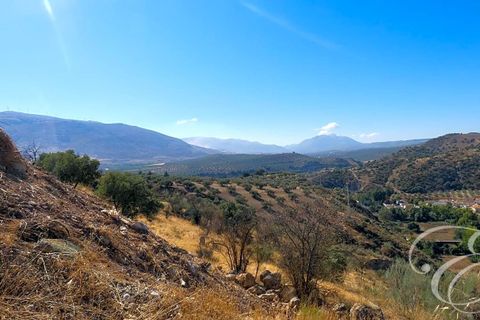 Landejendom i Loja, Granada, Loja - € 400.000 | Ref: XL3922 - foto 19