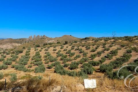 Landejendom i Loja, Granada, Loja - € 400.000 | Ref: XL3922 - foto 20