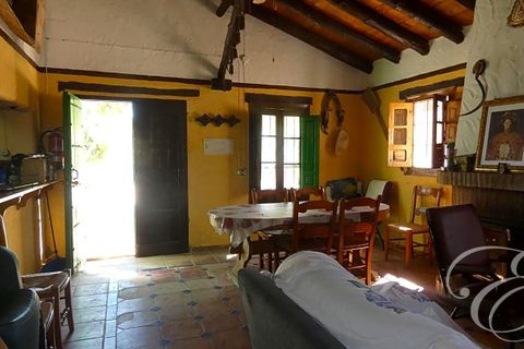 Landejendom i Rute, Cordoba, Rute - € 995.000 | Ref: XL3904 - foto 12