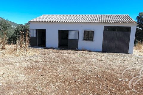 Landejendom i Rute, Cordoba, Rute - € 995.000 | Ref: XL3904 - foto 14