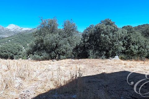 Landejendom i Rute, Cordoba, Rute - € 995.000 | Ref: XL3904 - foto 17
