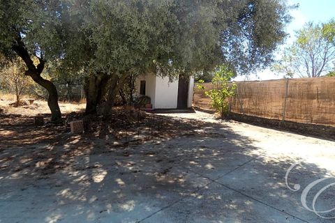 Landejendom i Rute, Cordoba, Rute - € 995.000 | Ref: XL3904 - foto 21