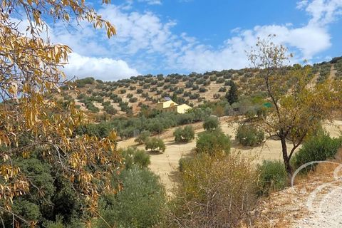 Villa a Iznajar, Cordoba, Iznajar - € 477.000 | Ref: XL3899 - foto 25