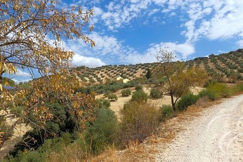 Villa a Iznajar, Cordoba, Iznajar - € 477.000 | Ref: XL3899 - foto 27