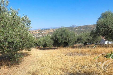 Landejendom i Alcaucin, Malaga, Alcaucin - € 350.000 | Ref: XL3868 - foto 1