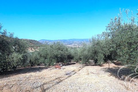 Landejendom i Alcaucin, Malaga, Alcaucin - € 350.000 | Ref: XL3868 - foto 13