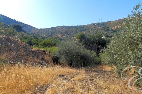 Landejendom i Alcaucin, Malaga, Alcaucin - € 350.000 | Ref: XL3868 - foto 14