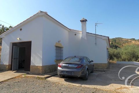 Landejendom i Alcaucin, Malaga, Alcaucin - € 350.000 | Ref: XL3868 - foto 15
