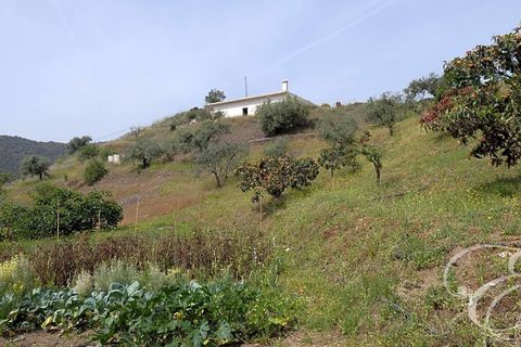 Herregård i Rubite, Malaga, Rubite - € 160 000 | Ref: XL3831 - foto 8