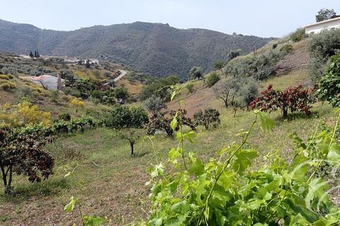 Herregård i Rubite, Malaga, Rubite - € 160 000 | Ref: XL3831 - foto 10