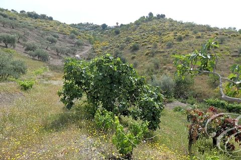 Herregård i Rubite, Malaga, Rubite - € 160 000 | Ref: XL3831 - foto 12
