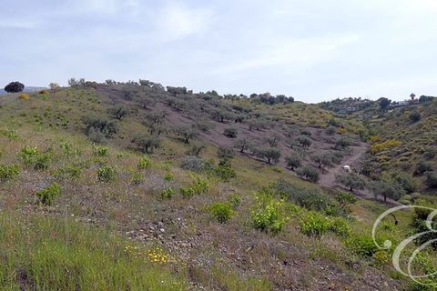 Herregård i Rubite, Malaga, Rubite - € 160 000 | Ref: XL3831 - foto 13
