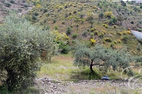 Herregård i Rubite, Malaga, Rubite - € 160 000 | Ref: XL3831 - foto 14