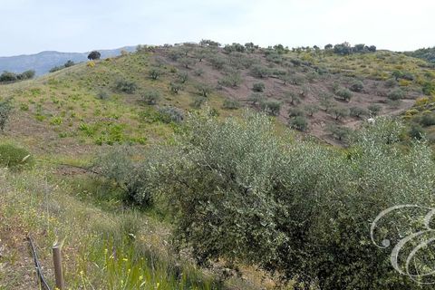 Herregård i Rubite, Malaga, Rubite - € 160 000 | Ref: XL3831 - foto 15