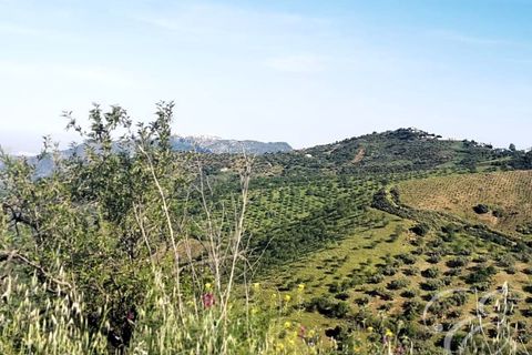 Herregård i Colmenar, Malaga, Colmenar - € 1 300 000 | Ref: XL3830 - foto 6