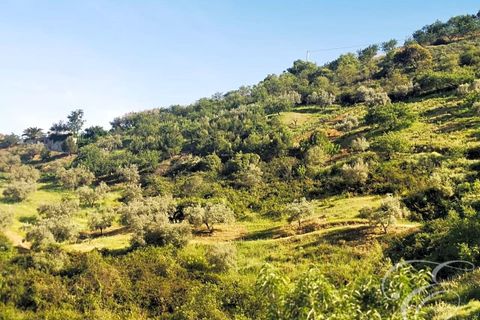 Herregård i Colmenar, Malaga, Colmenar - € 1 300 000 | Ref: XL3830 - foto 11