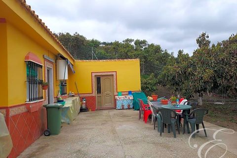 Landejendom i Velez Malaga, Malaga, Velez Malaga - € 299.000 | Ref: XL3780 - foto 12