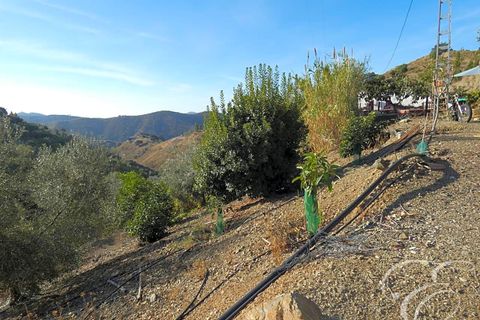 Herregård i Sedella, Malaga, Sedella - € 225 000 | Ref: XL3530 - foto 16