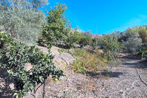 Herregård i Sedella, Malaga, Sedella - € 225 000 | Ref: XL3530 - foto 18