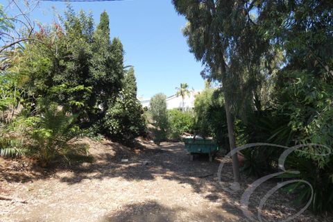 Villa i Benajarafe, Malaga, Benajarafe - € 950.000 | Ref: XL2911 - foto 5