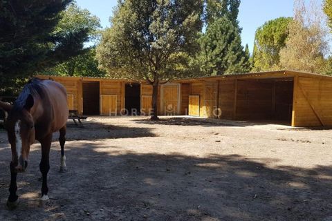 Landejendom i Charleval, Bouches-du-Rhone, Charleval - € 2.300.000 | Ref: 2644-ANG - foto 9