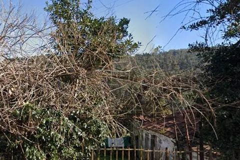 Terra a Lousada, Porto, Lousada - € 480.000 | Ref: TE146 - foto 2