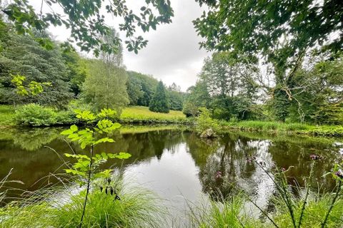 Terra a Flassy, Nievre, Flassy - € 169.000 | Ref: 4615 - foto 2