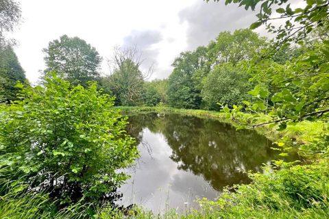 Terra a Flassy, Nievre, Flassy - € 169.000 | Ref: 4615 - foto 3