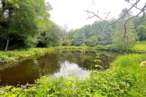 Terra a Flassy, Nievre, Flassy - € 169.000 | Ref: 4615 - foto 4