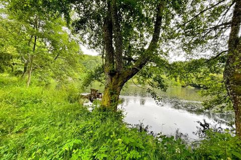 Terra a Flassy, Nievre, Flassy - € 169.000 | Ref: 4615 - foto 5