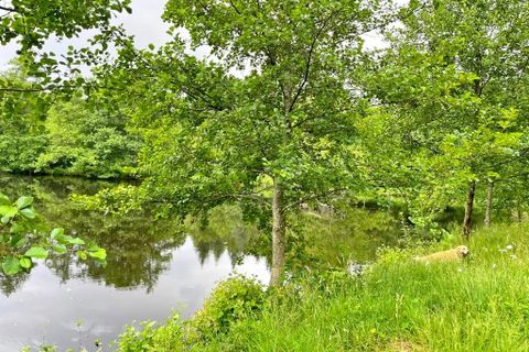Terra a Flassy, Nievre, Flassy - € 169.000 | Ref: 4615 - foto 6