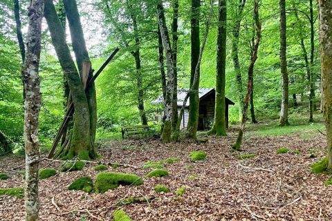 Terra a Flassy, Nievre, Flassy - € 169.000 | Ref: 4615 - foto 8