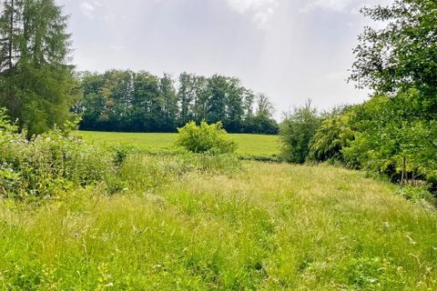 Terra a Flassy, Nievre, Flassy - € 169.000 | Ref: 4615 - foto 9