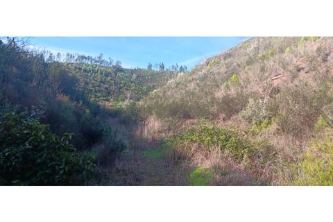 Helårsgrund i Macao, Santarem, Macao - € 65.000 | Ref: SÒL_296 - foto 9