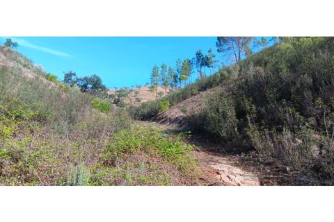 Helårsgrund i Macao, Santarem, Macao - € 65.000 | Ref: SÒL_296 - foto 12