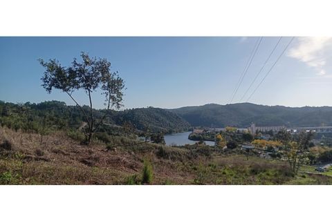 Helårsgrund i Macao, Santarem, Macao - € 65.000 | Ref: SÒL_296 - foto 14