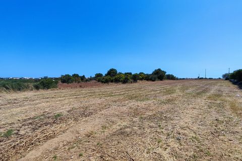 Helårsgrund i Albufeira, Faro, Albufeira - € 760.000 | Ref: VJM-1645 - foto 9