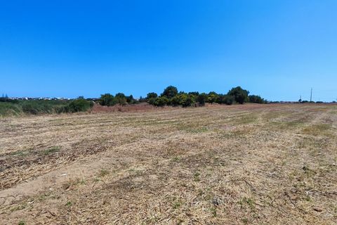 Helårsgrund i Albufeira, Faro, Albufeira - € 760.000 | Ref: VJM-1645 - foto 11