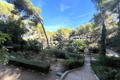 Leilighet i Sol De Mallorca, Mallorca, Sol De Mallorca - € 430 000 | Ref: 79783 - foto 12