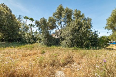 Tomt i Pollenca, Mallorca, Pollenca - € 325 000 | Ref: POL0589 - foto 2