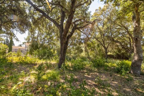 Tomt i Pollenca, Mallorca, Pollenca - € 325 000 | Ref: POL0589 - foto 3