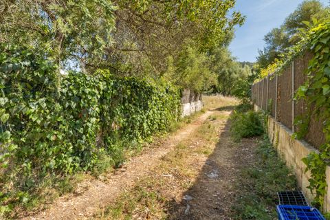 Tomt i Pollenca, Mallorca, Pollenca - € 325 000 | Ref: POL0589 - foto 5