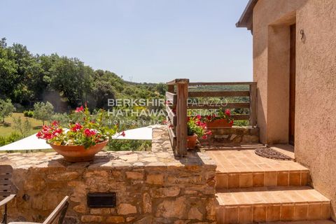 Landejendom i Cinigiano, Grosseto, Cinigiano - € 3.400.000 | Ref: ito2963 - foto 10