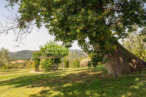 Landejendom i Cinigiano, Grosseto, Cinigiano - € 3.400.000 | Ref: ito2963 - foto 12