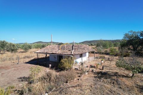 Helårsgrund i Paderne, Faro, Paderne - € 72.000 | Ref: AF145 - foto 6