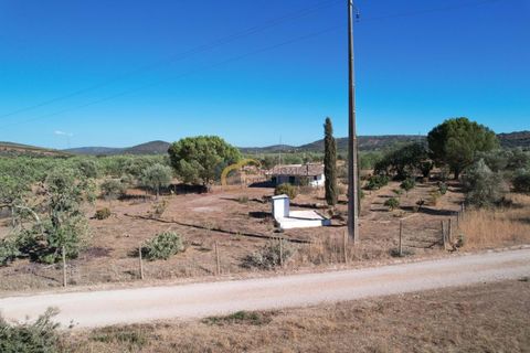 Helårsgrund i Paderne, Faro, Paderne - € 72.000 | Ref: AF145 - foto 8