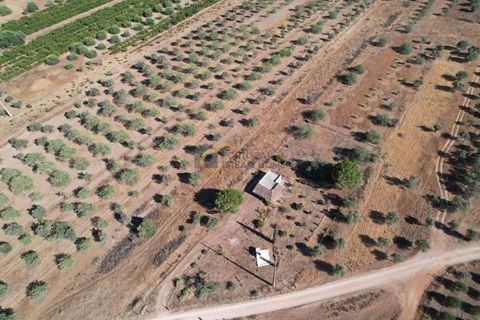 Helårsgrund i Paderne, Faro, Paderne - € 72.000 | Ref: AF145 - foto 10