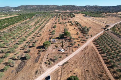 Helårsgrund i Paderne, Faro, Paderne - € 72.000 | Ref: AF145 - foto 12