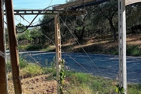 L'establiment comercial a Tollo, Chieti, Tollo - € 58.000 | Ref: OR505 - foto 4